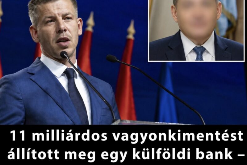 11 milliárdos vagyonkimentést állított meg egy külföldi bank – egy ismert magyar cég az érintett