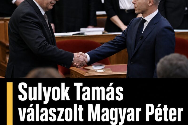 Sulyok Tamás válaszolt Magyar Péter fenyegetőzésére