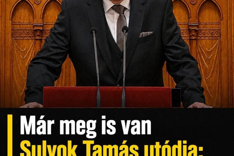 Már meg is van Sulyok Tamás utódja: Ő veheti át a köztársasági-elnök helyét