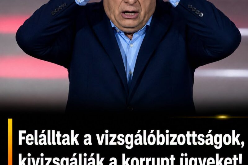 Felálltak a vizsgálóbizottságok: remeghetnek a közpénzzel mutyizók