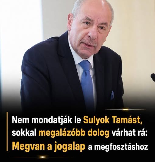 Nem mondatják le Sulyok Tamást, sokkal megalázóbb dolog várhat rá: Megvan a jogalap a megfosztáshoz