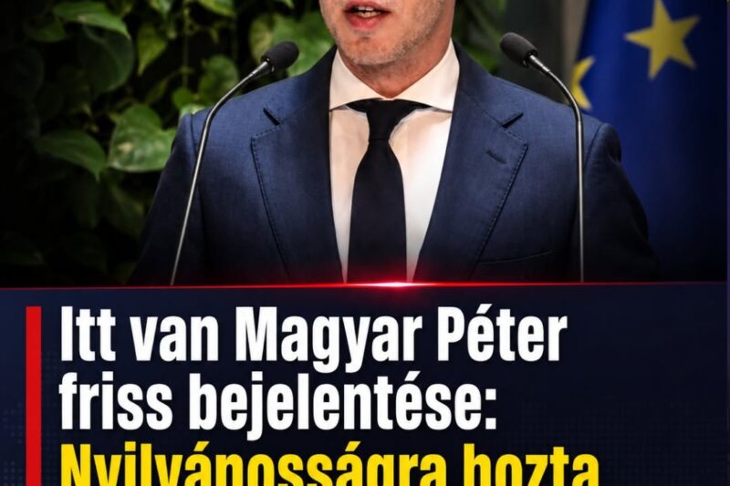 Itt van Magyar Péter friss bejelentése: Nyilvánosságra hozta Orbán titkos kormányüléseinek döntéseit