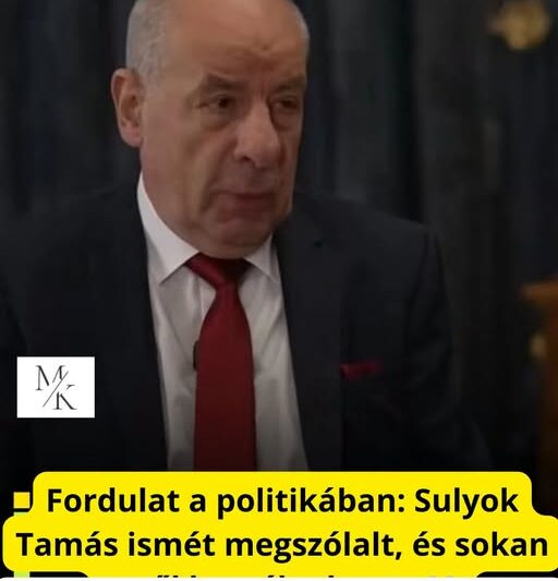 Sulyok Tamás újra megszólalt: Magyar Péter nem hagyott más utat neki