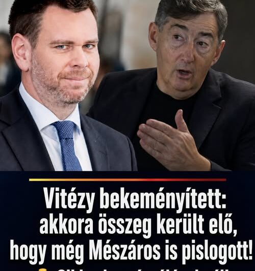 Vitézy bekeményített: akkora összeg került elő, hogy még Mészáros is pislogott! – FrissHír24